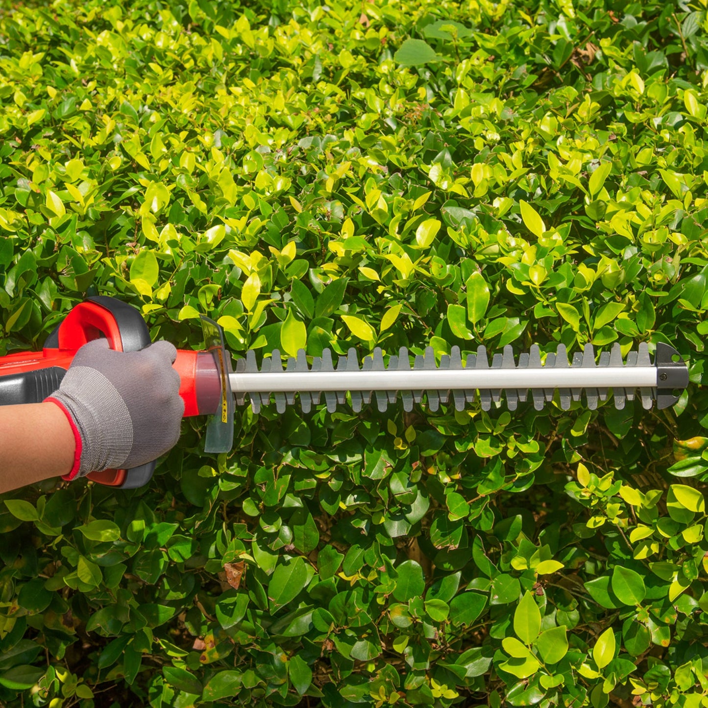 20V Cordless Hedge Trimmer Tool Only