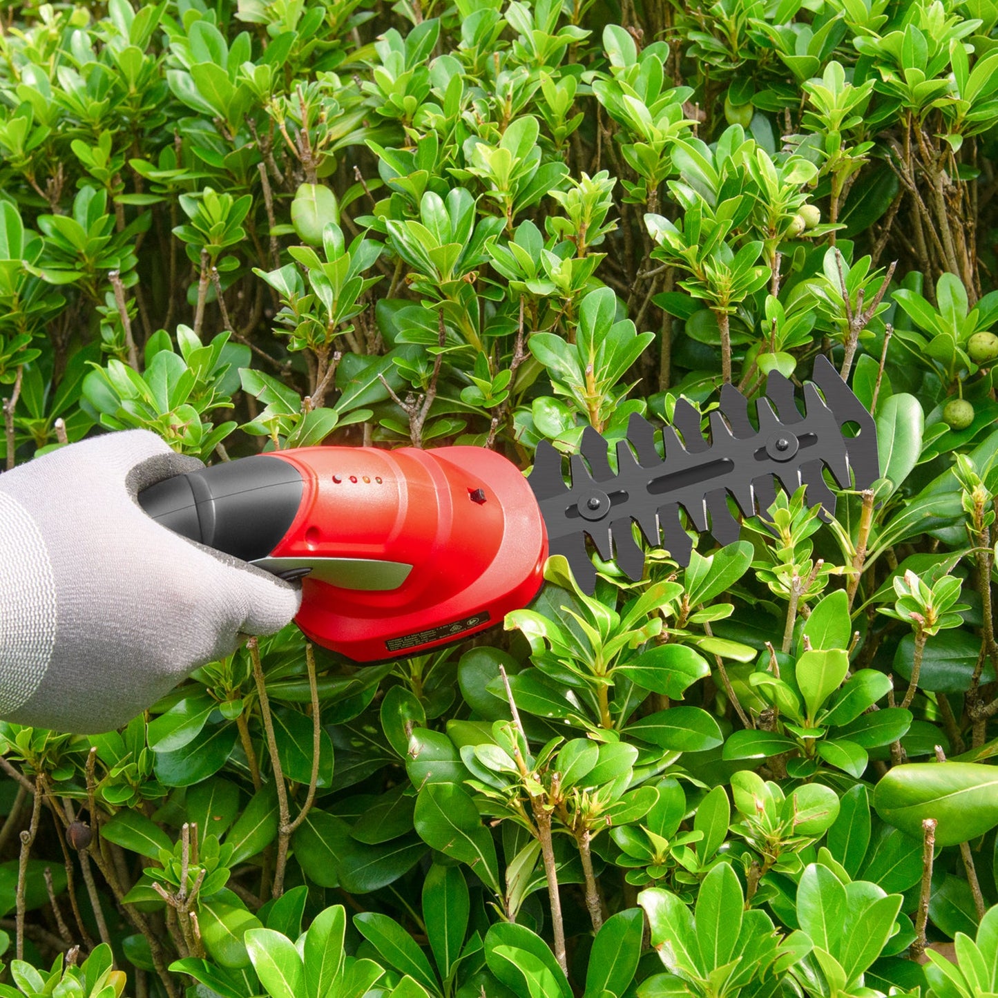 4V Cordless Grass Hedge Trimmer & Shear Kit