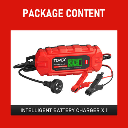 Intelligent Battery Charger