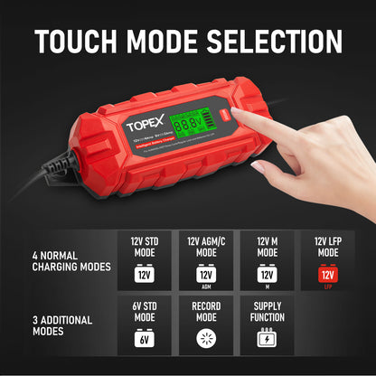 Intelligent Battery Charger